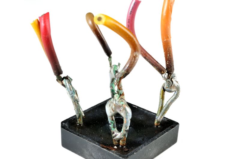 파일:nikon1 049.jpg