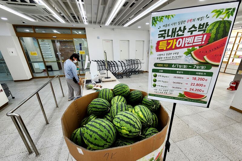 파일:watermelon03 001.jpg