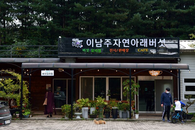 파일:meal13 002.jpg