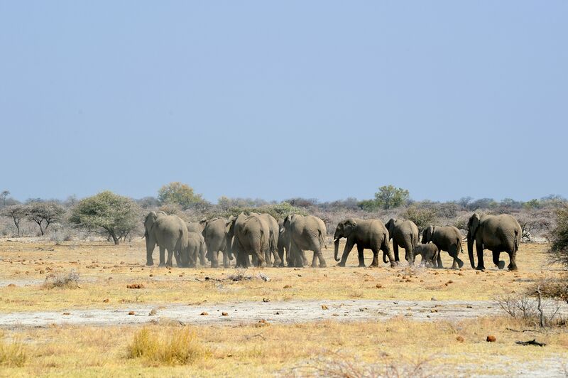 파일:240910 152046.jpg