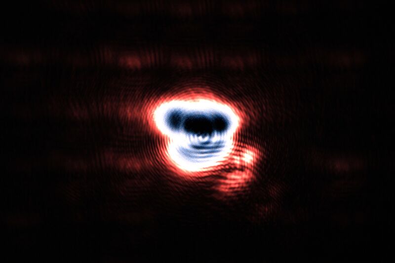 파일:ld focus02 002 002.jpg