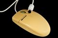 mouse wheel02 001.jpg