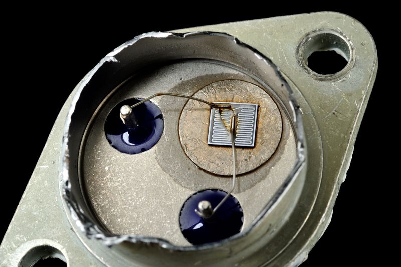 파일:nikon1 055.jpg