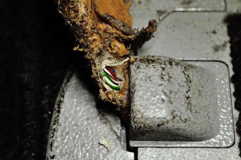 파일:220606 111646.jpg