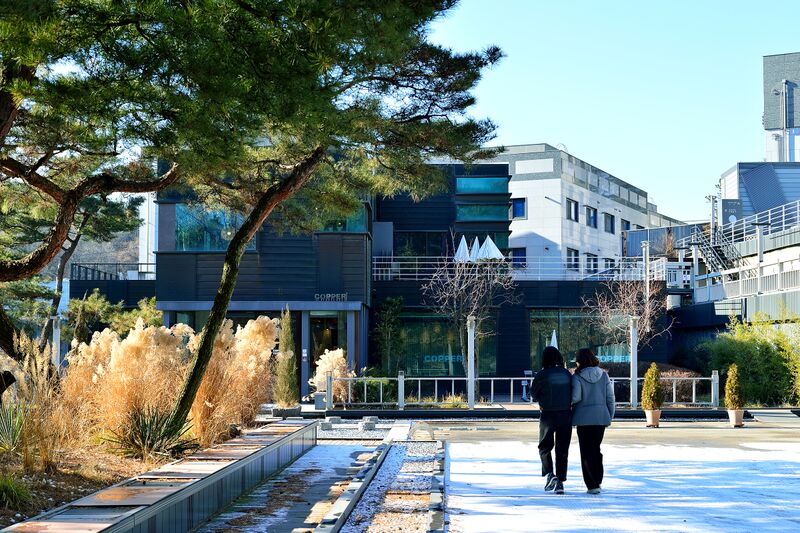 파일:copper9 26 001.jpg