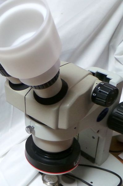 파일:scope galaxy01 004.jpg