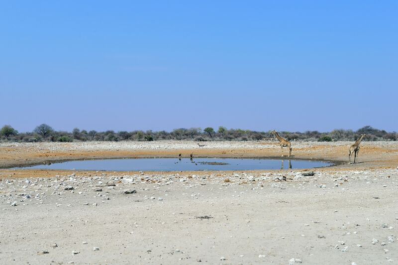 파일:240910 150918.jpg