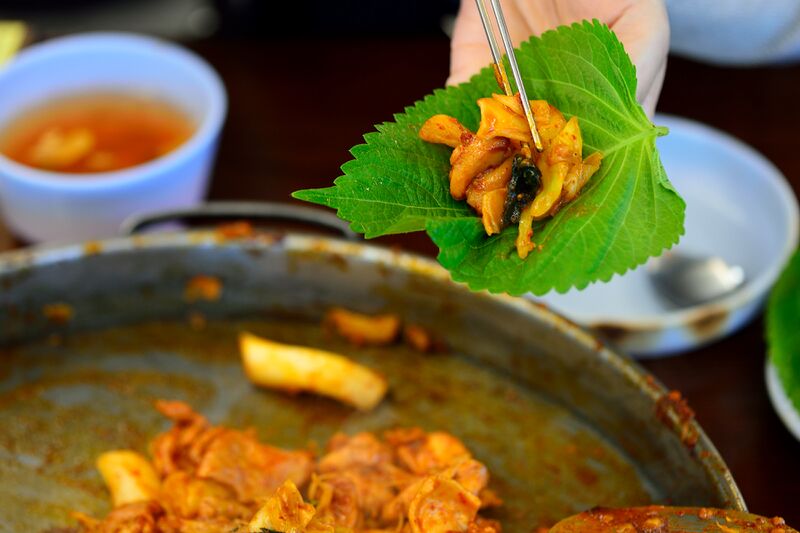 파일:chicken02 010.jpg