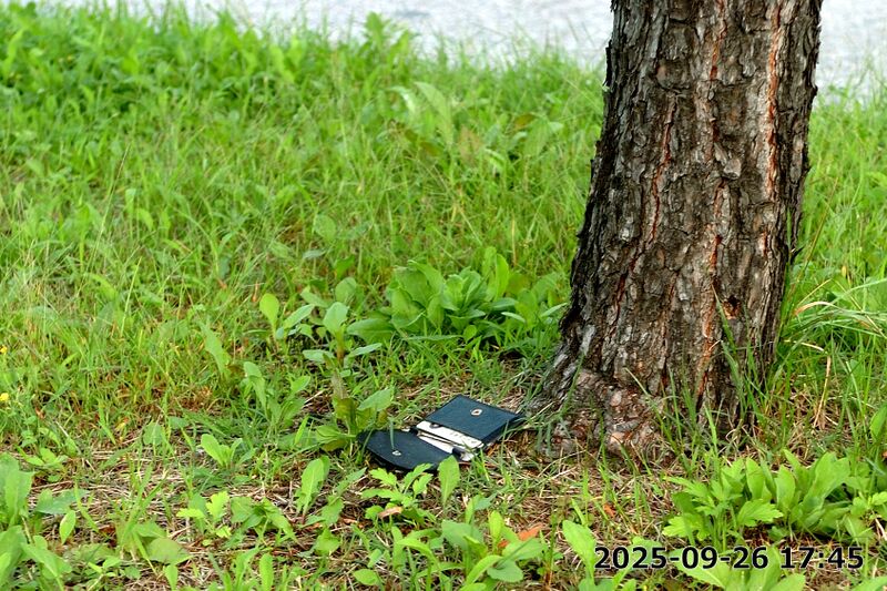 파일:building06 008 002.jpg