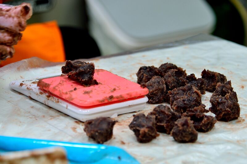 파일:kkwabaegi02 006.jpg