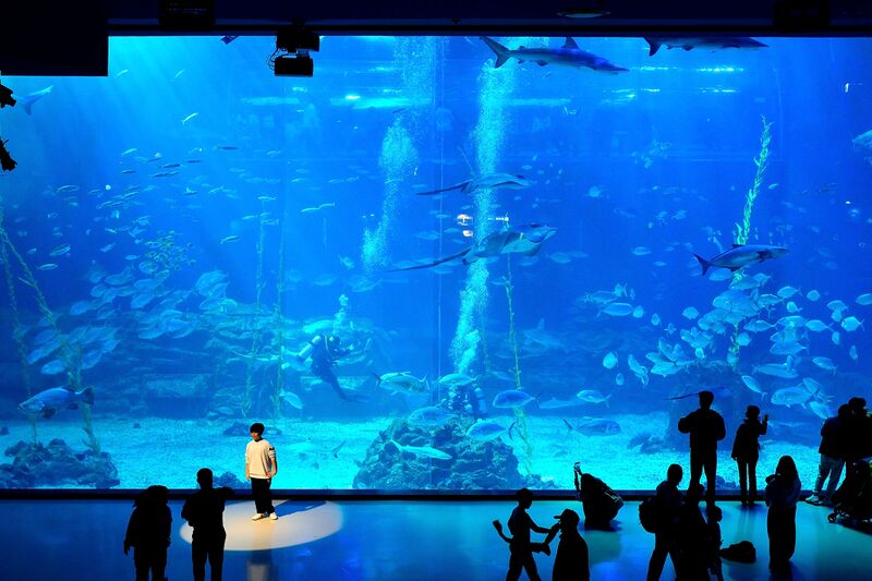 파일:260224 123822.jpg