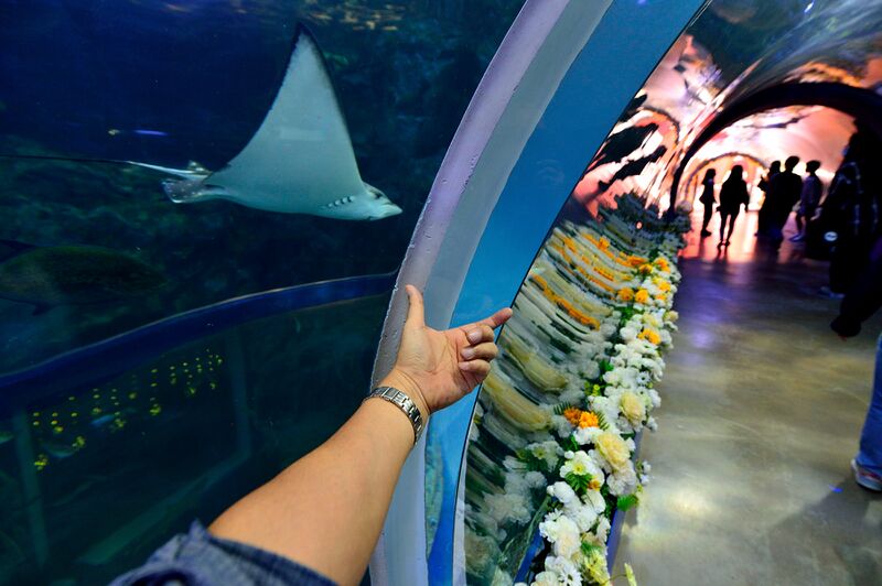 파일:220929 113036.jpg