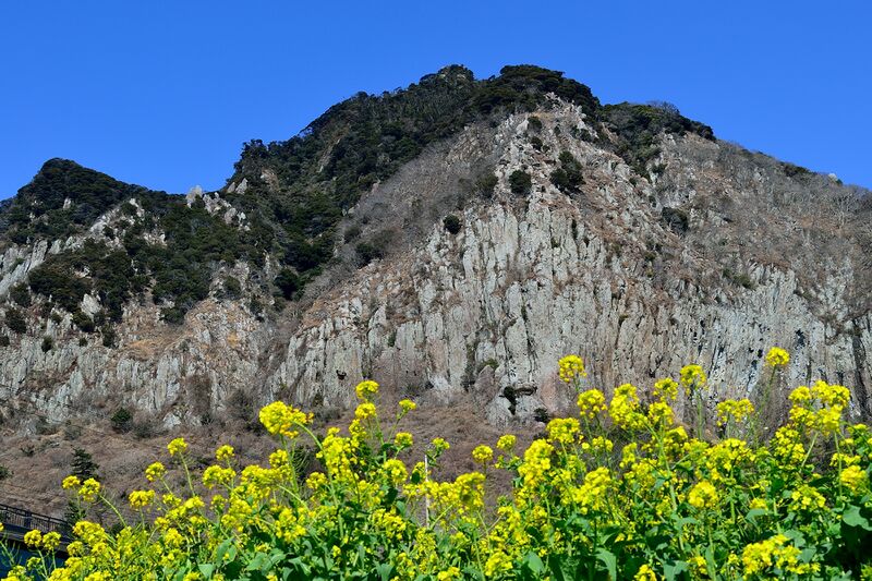 파일:260223 140600.jpg