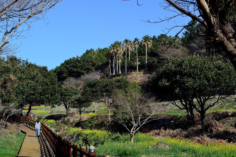 파일:260223 095602.jpg