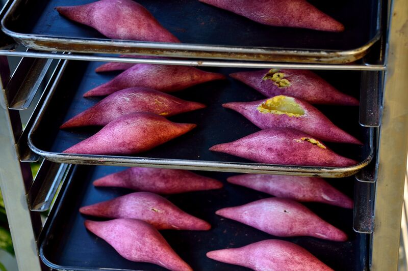 파일:haenam2024 183.jpg