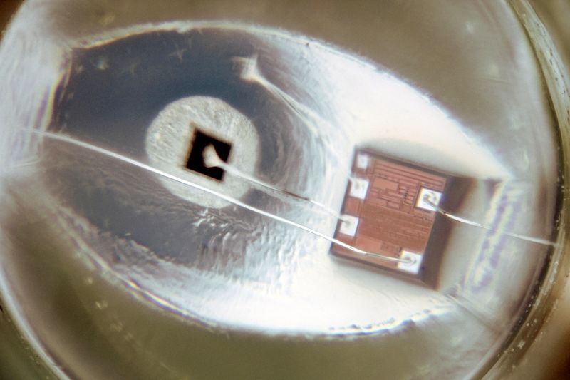 파일:led lamp05 006.jpg