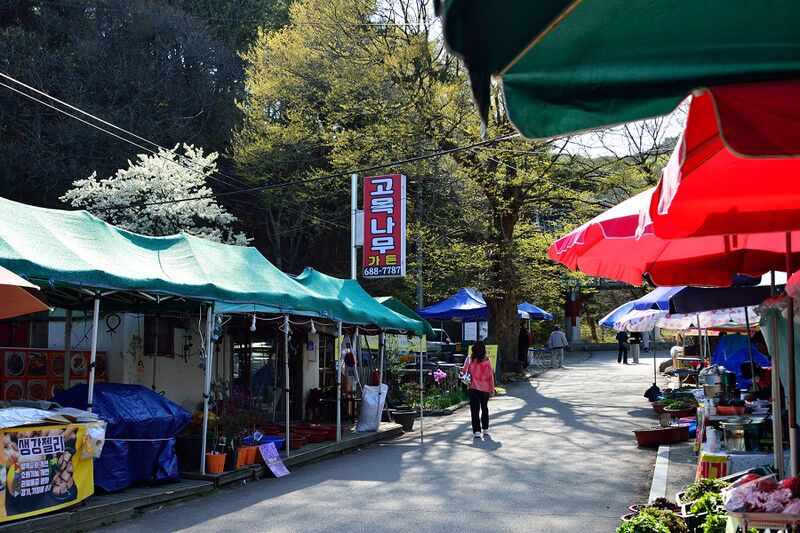 파일:meal13 06 001.jpg