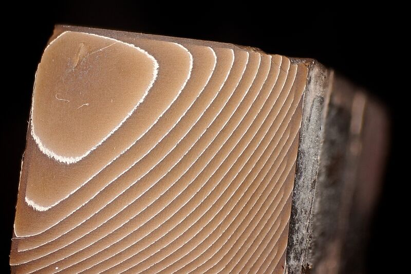 파일:smlpa01 13 010.jpg