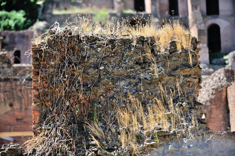 파일:130801 121808.jpg