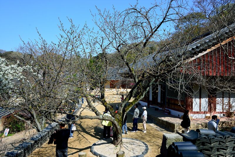 파일:gaesimsa26 014.jpg