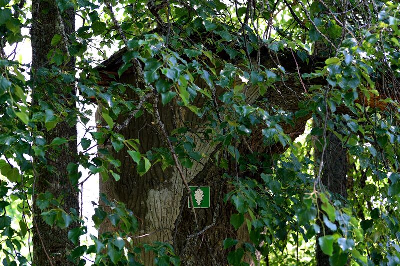 파일:230620 105428.jpg