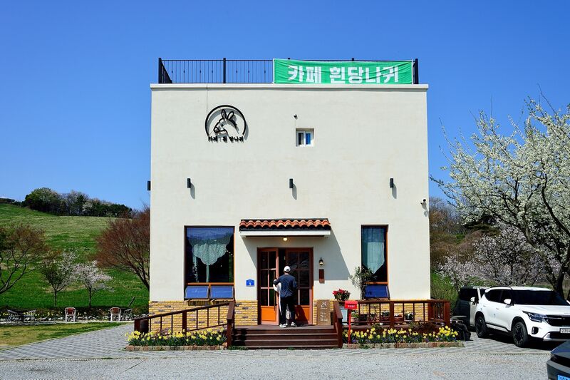 파일:donkey w01 001.jpg