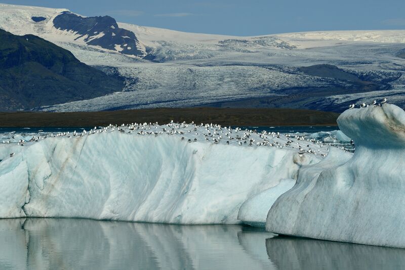 파일:250714 092446.jpg