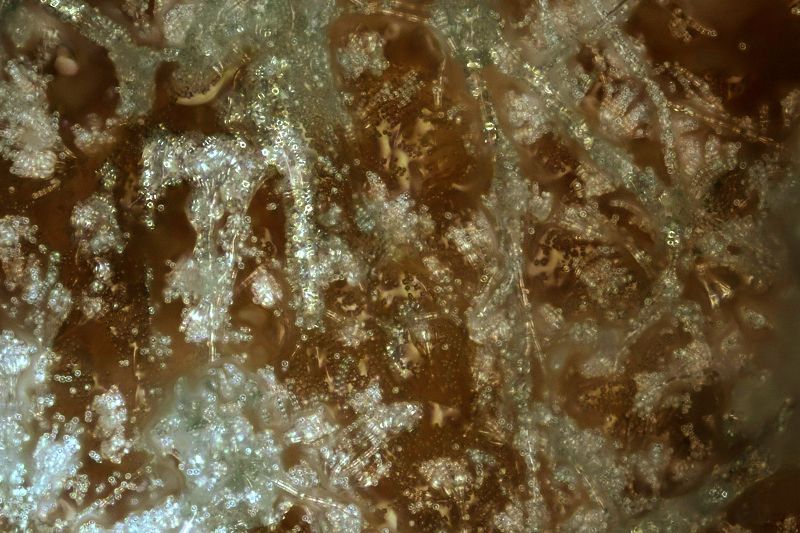 파일:bread02 006.jpg