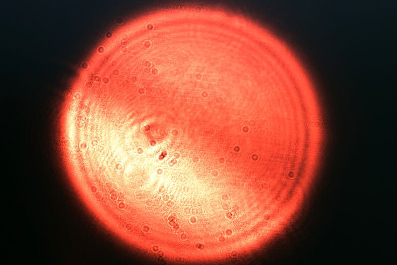 파일:ld focus01 002 002.jpg