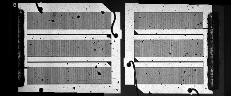 파일:saw if 220 01 002.jpg
