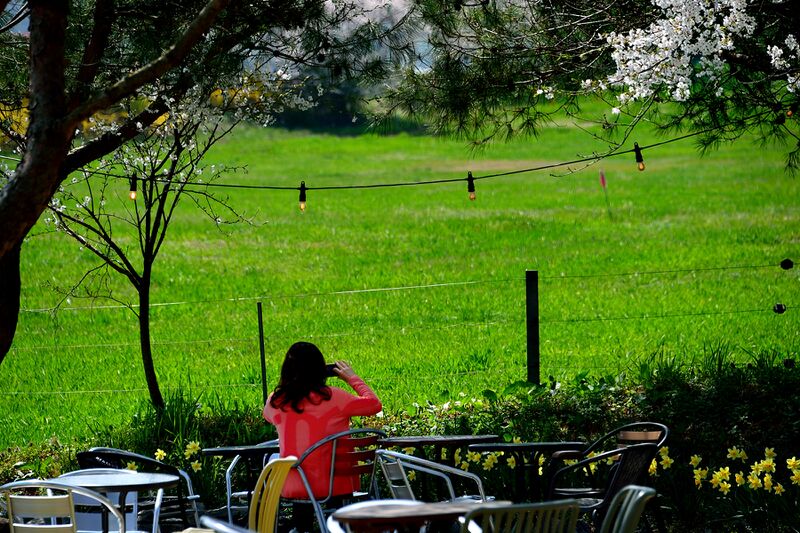 파일:donkey w01 006.jpg