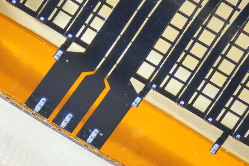 파일:pyramid microscrub01 001.jpg