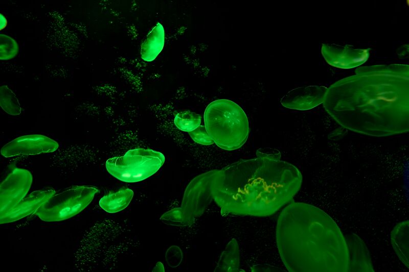 파일:220929 111444.jpg