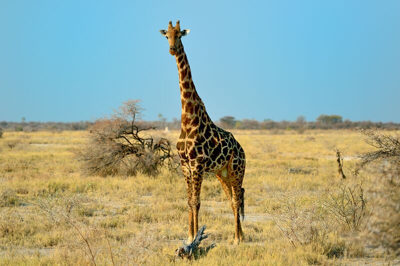 파일:240910 172302.jpg