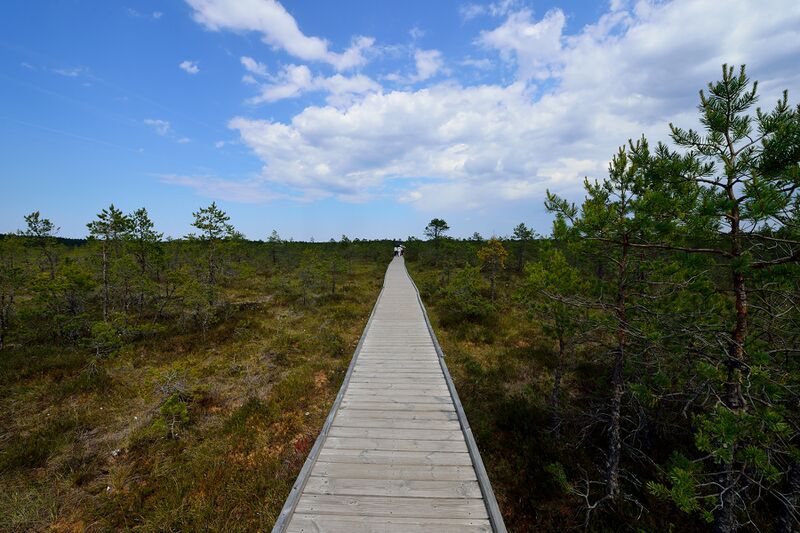 파일:230621 150710.jpg