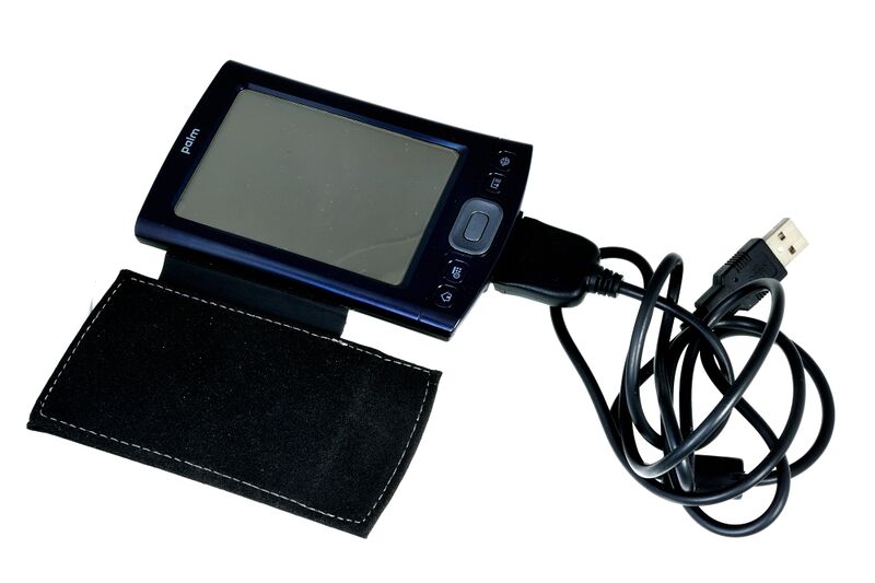 파일:palm tx 015.jpg