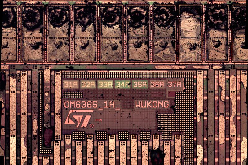 파일:pnx6608 004.jpg