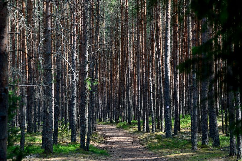 파일:230621 150236.jpg