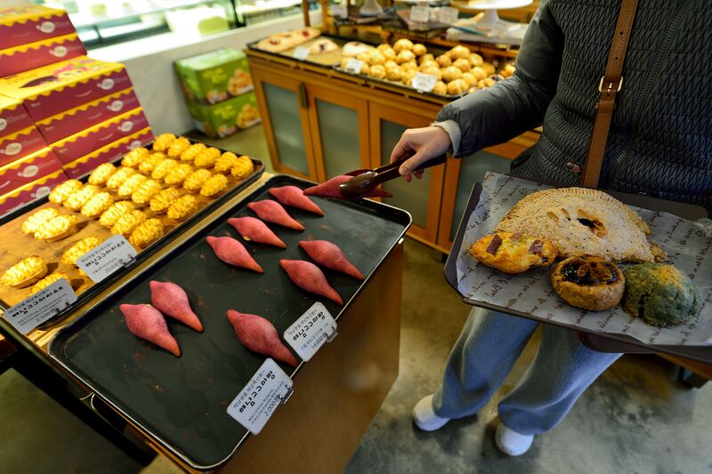 파일:haenam2024 181.jpg