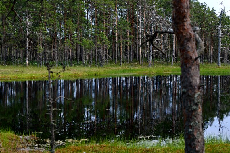 파일:230621 152330.jpg