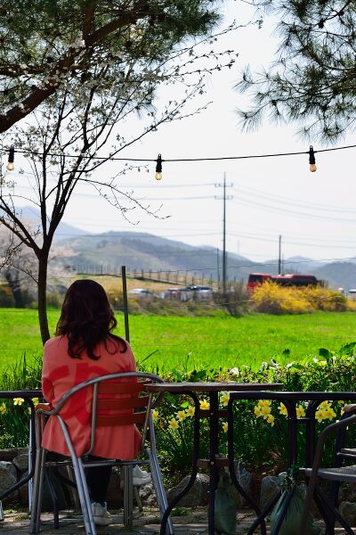 파일:donkey w01 007.jpg