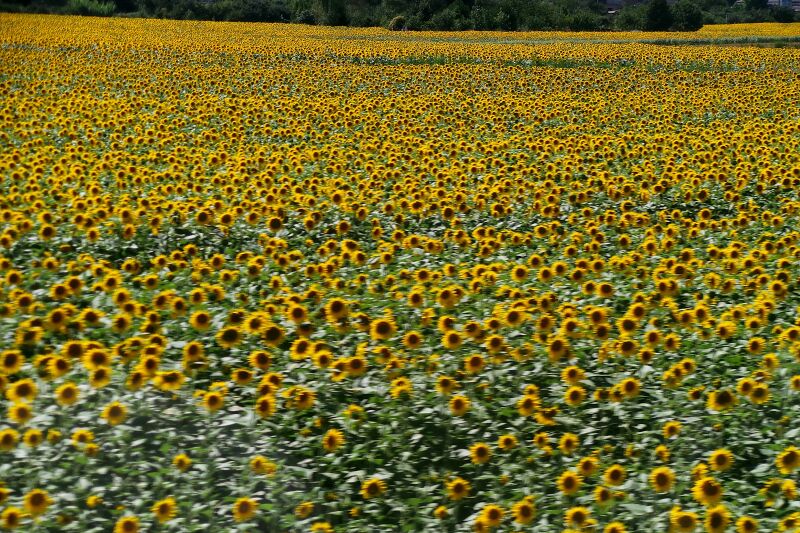 파일:130730 160714.jpg