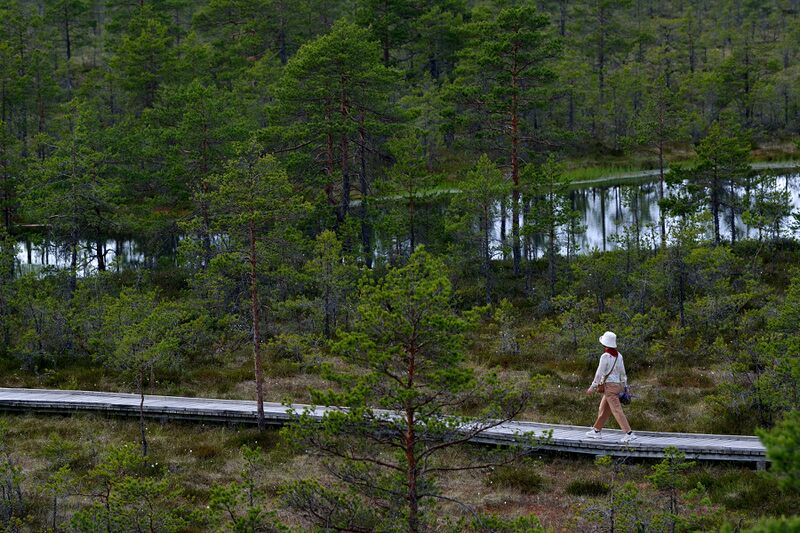 파일:230621 153828.jpg