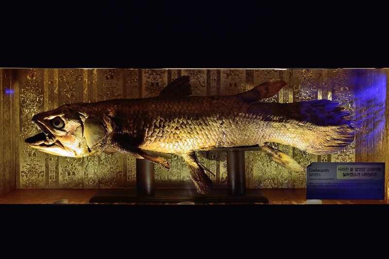 파일:260224 124218.jpg