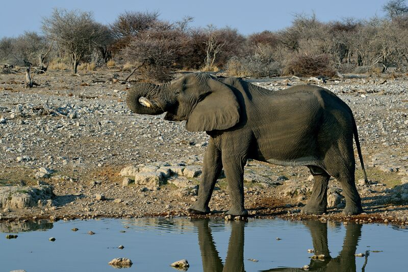 파일:240910 080710.jpg