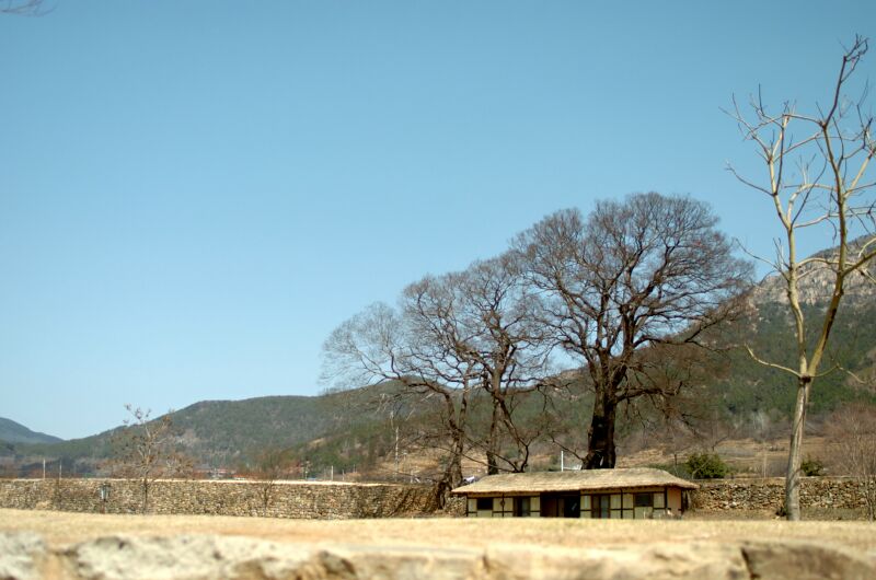 파일:040320 115810.jpg