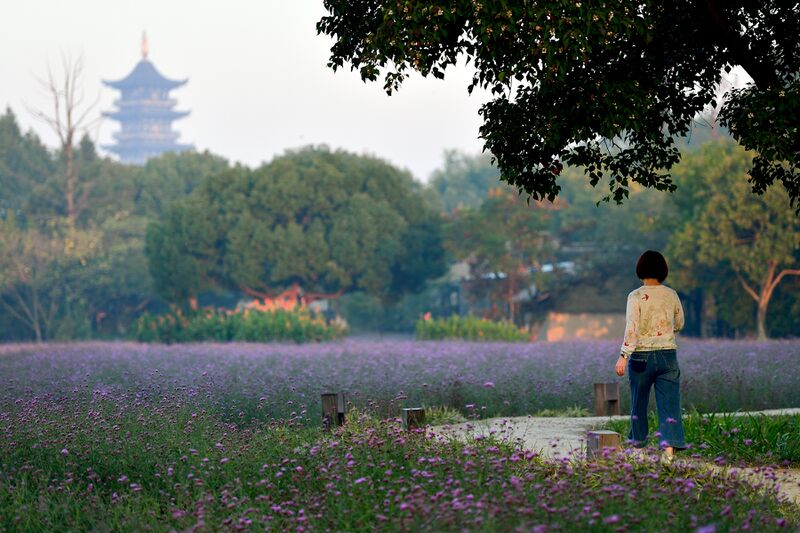 파일:231101 063420.jpg