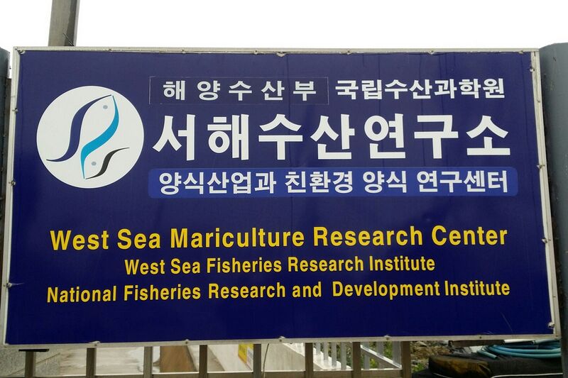 파일:energie korea01 004.jpg