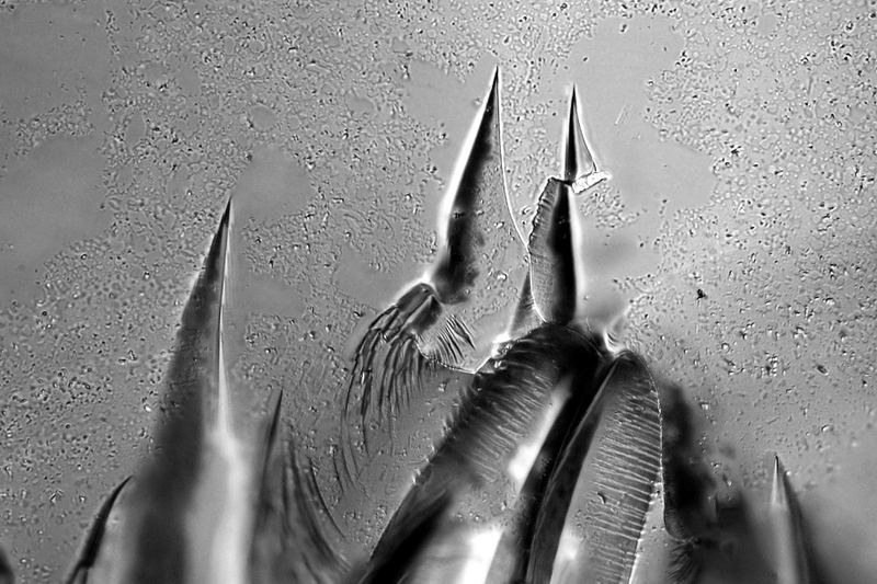 파일:saw if tv02 008 011.jpg