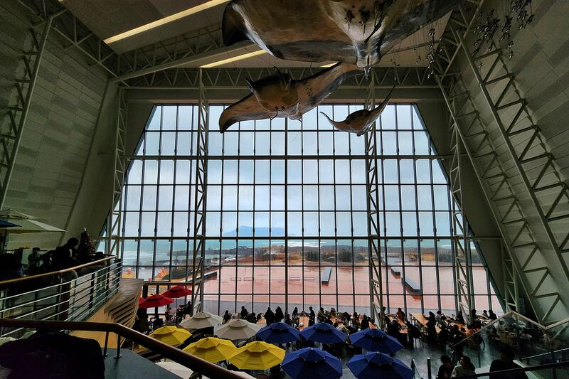 파일:260224 122306.jpg